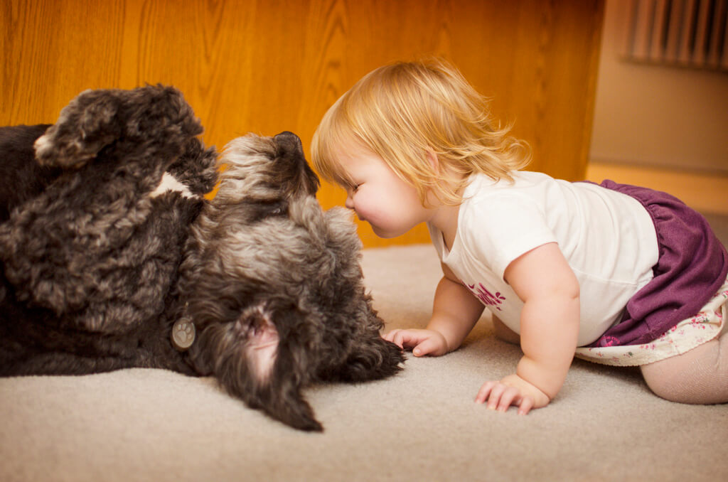Ребенок играет на полу с собакой