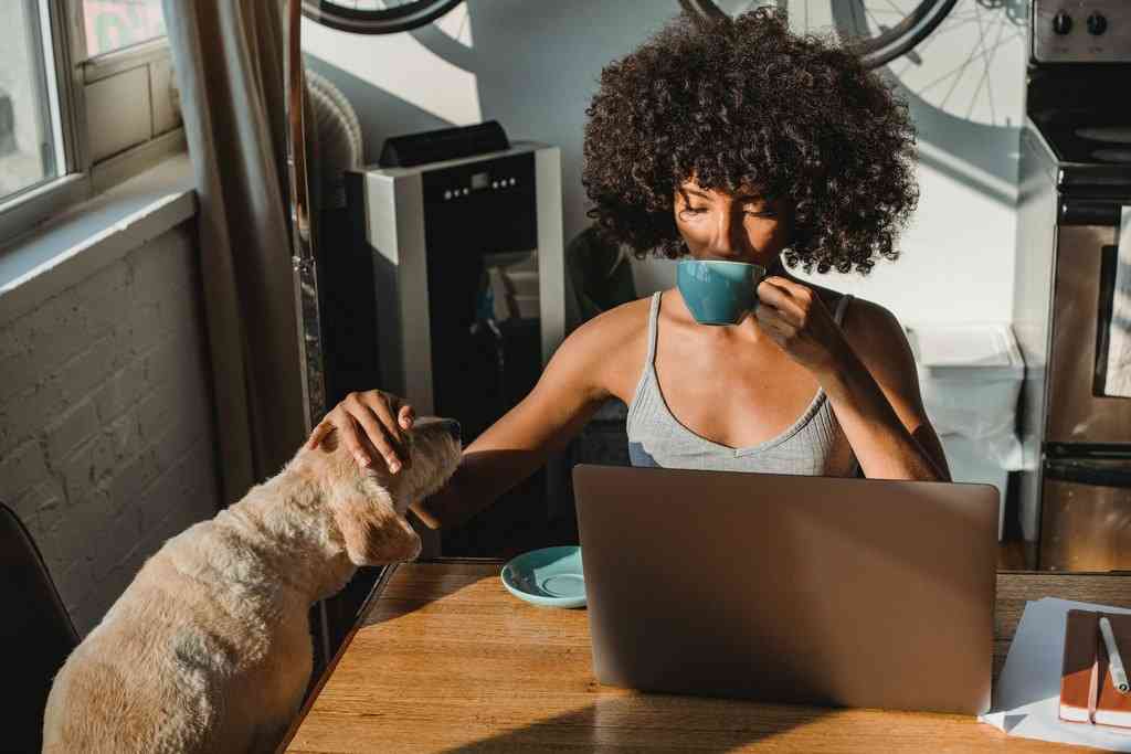 Девушка работает у окна за компьютером пьет чай и гладит собаку